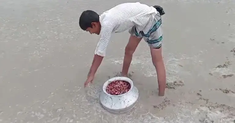 জমিতে কৃষক